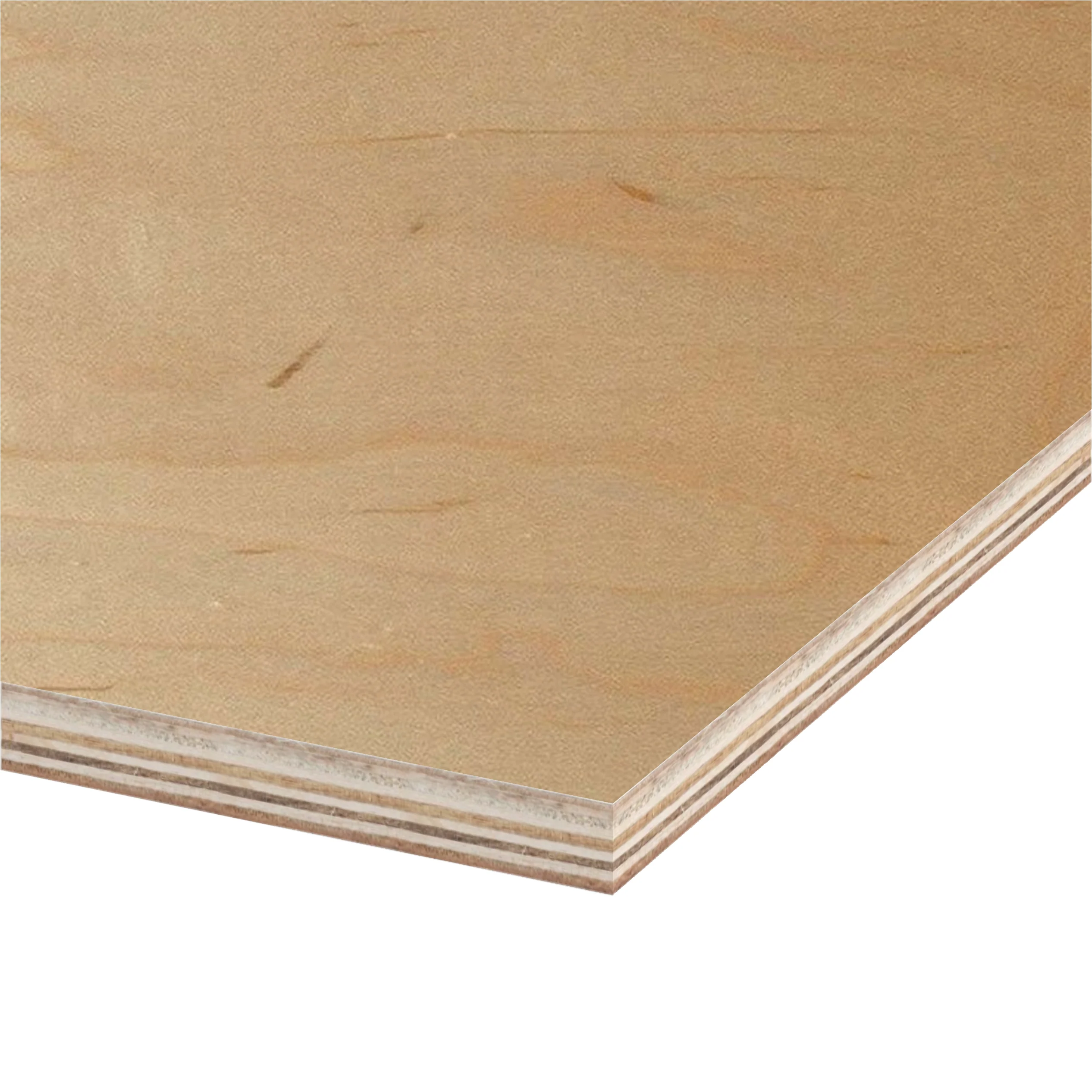 Birch Prefinished Plywood 4 ft x 8 ft (Imported Plywood) - Image 15