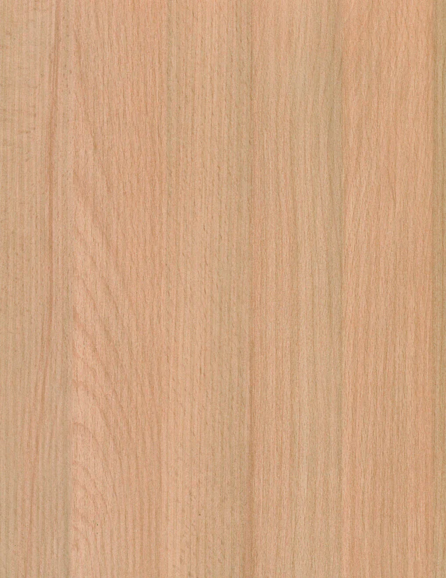 LAM NATURAL BEECH PR 4X8 1/32 IC