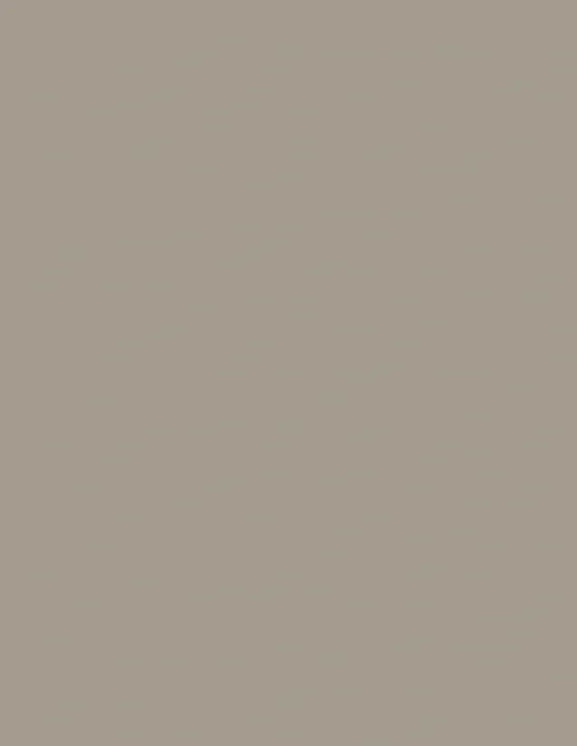 LAM TAUPE XM CHROM 4X10 DECORLINE 1MM IC - Image 3