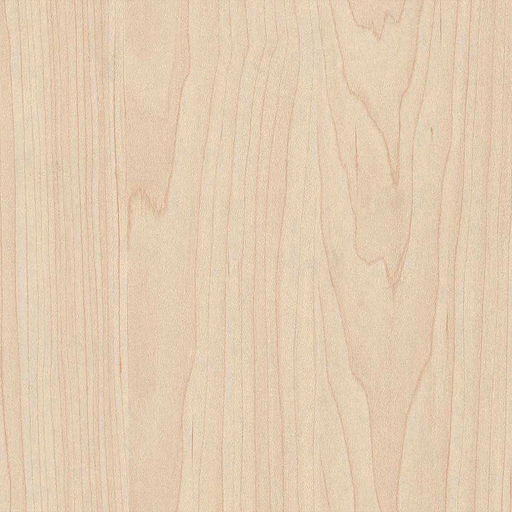 Maple Plywood 4 ft x 8 ft (Imported Plywood) - Image 5