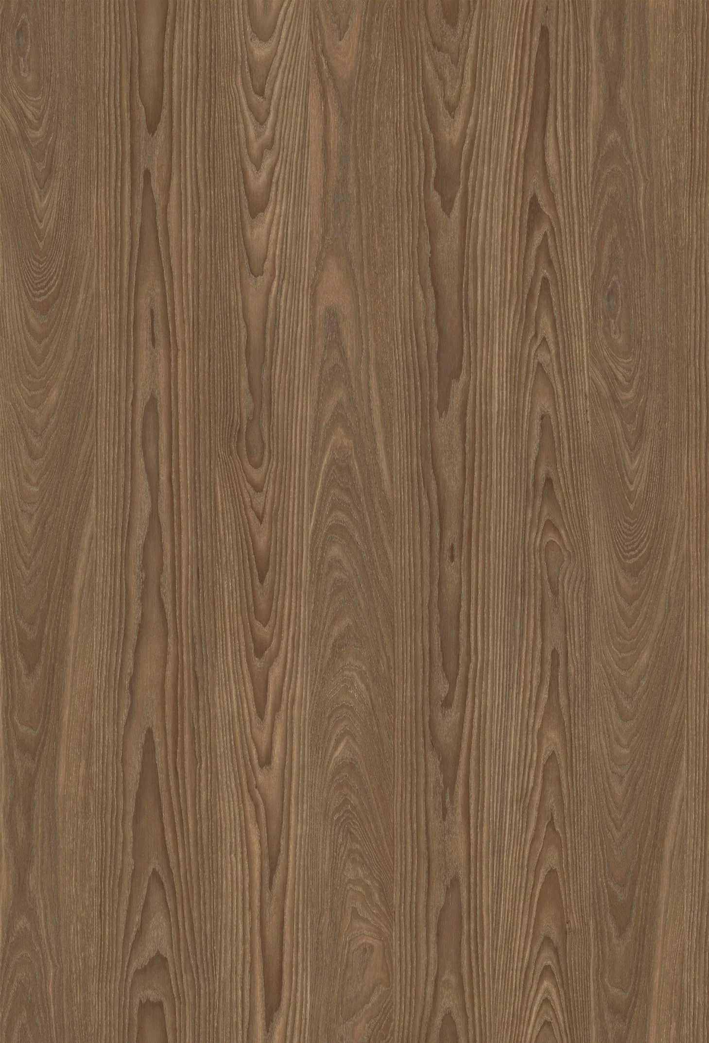 Pampas Melamine 7 Ft X 9 Ft - Image 7