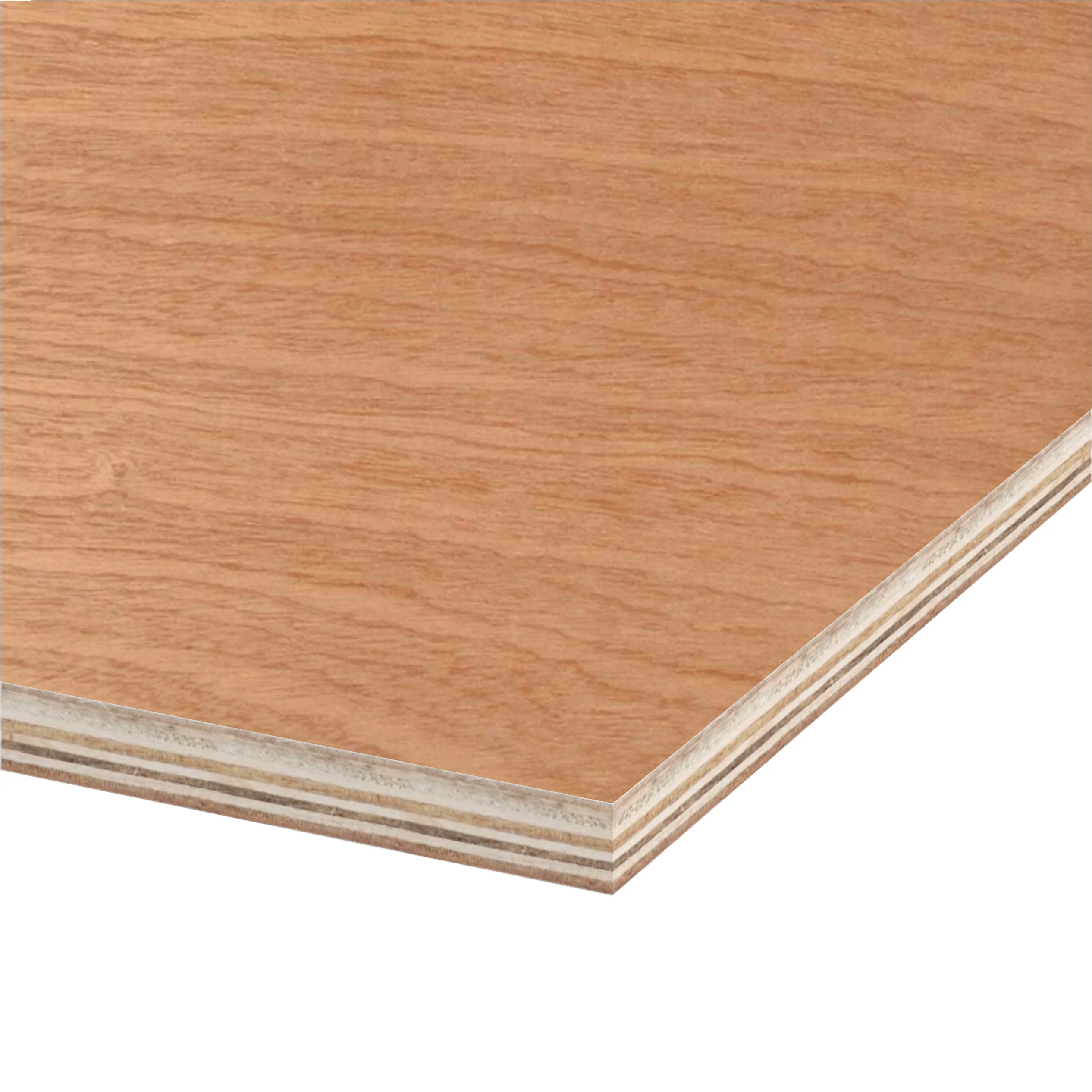 PLYWOOD MARINE 3/4 4x8 TECH  B/BB - Image 5