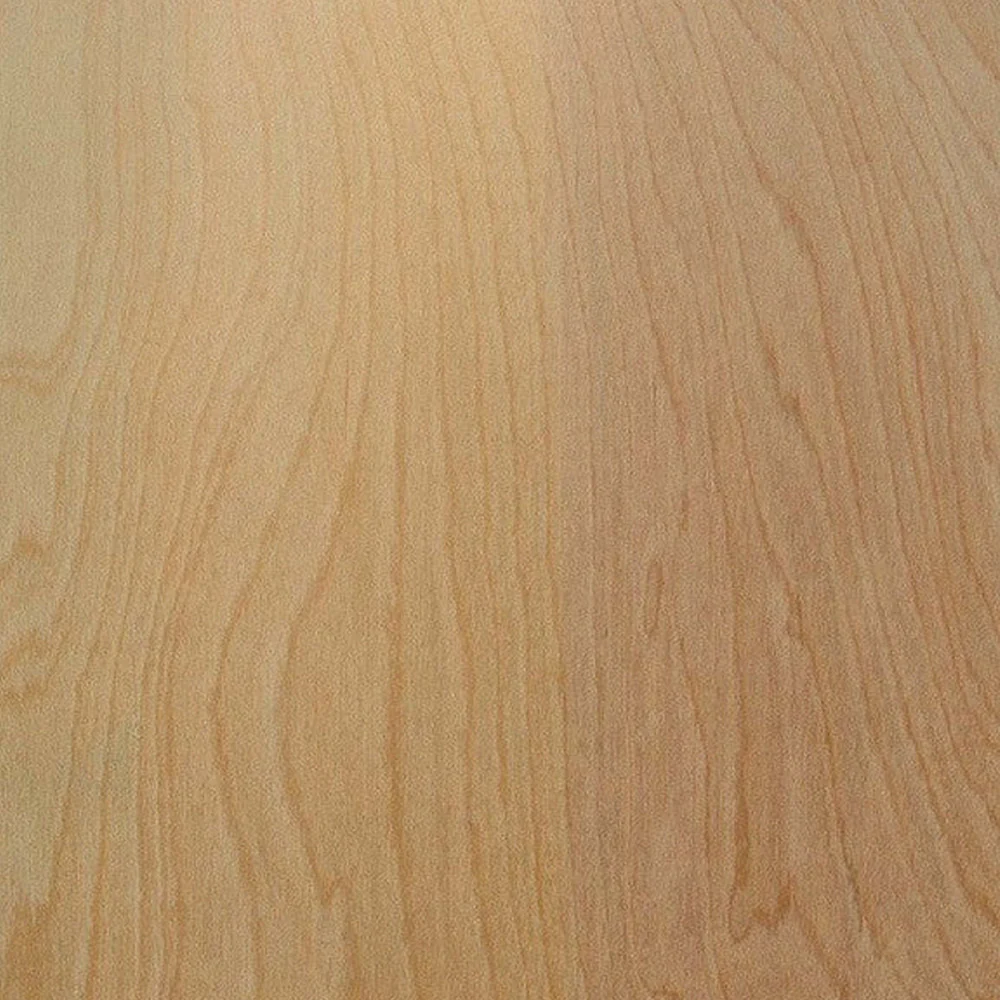 PLYWOOD BIRCH 4X8 1/4 C4 GARNICA - Image 3