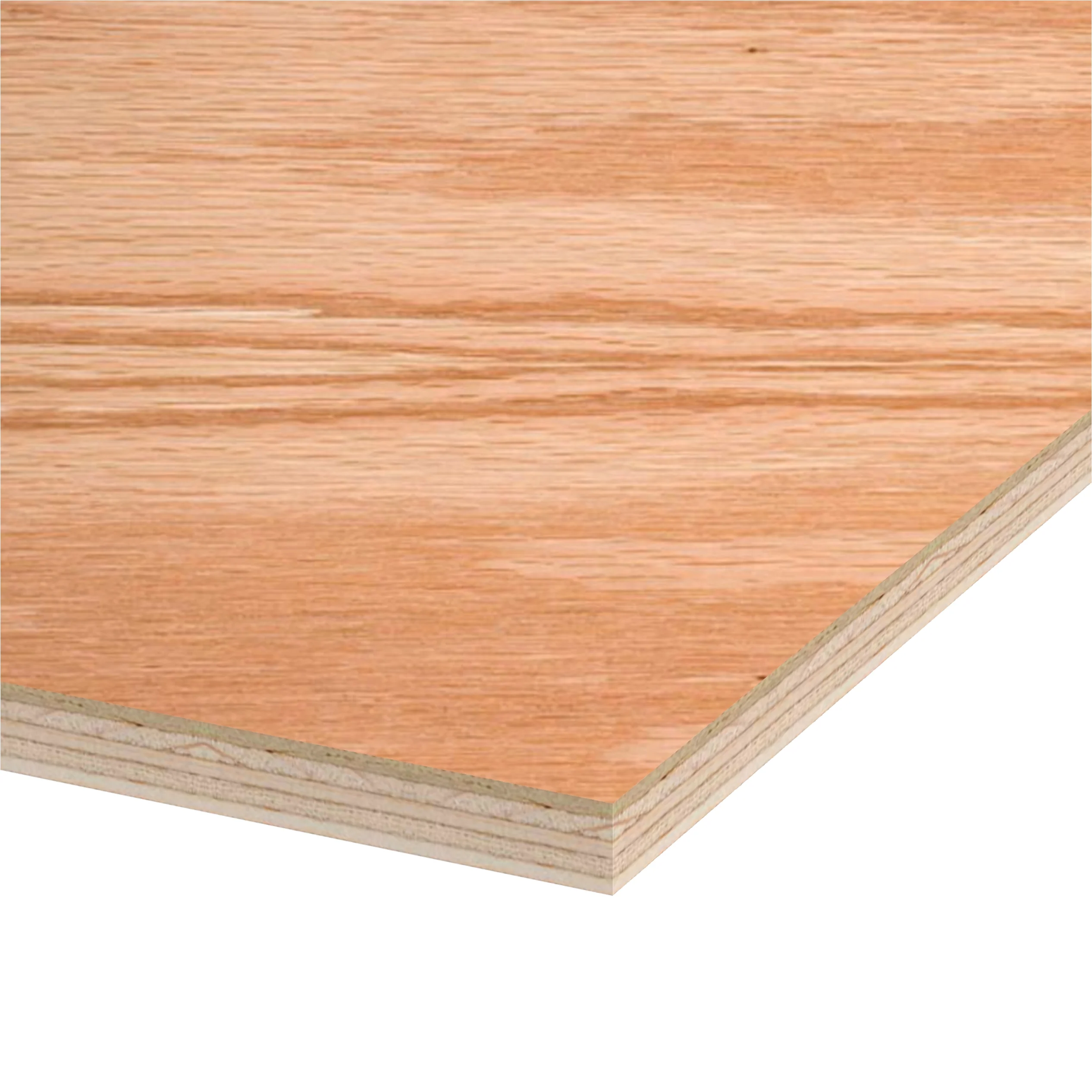 Red Oak Plywood 4 ft x 8 ft (Domestic Plywood) - Image 3