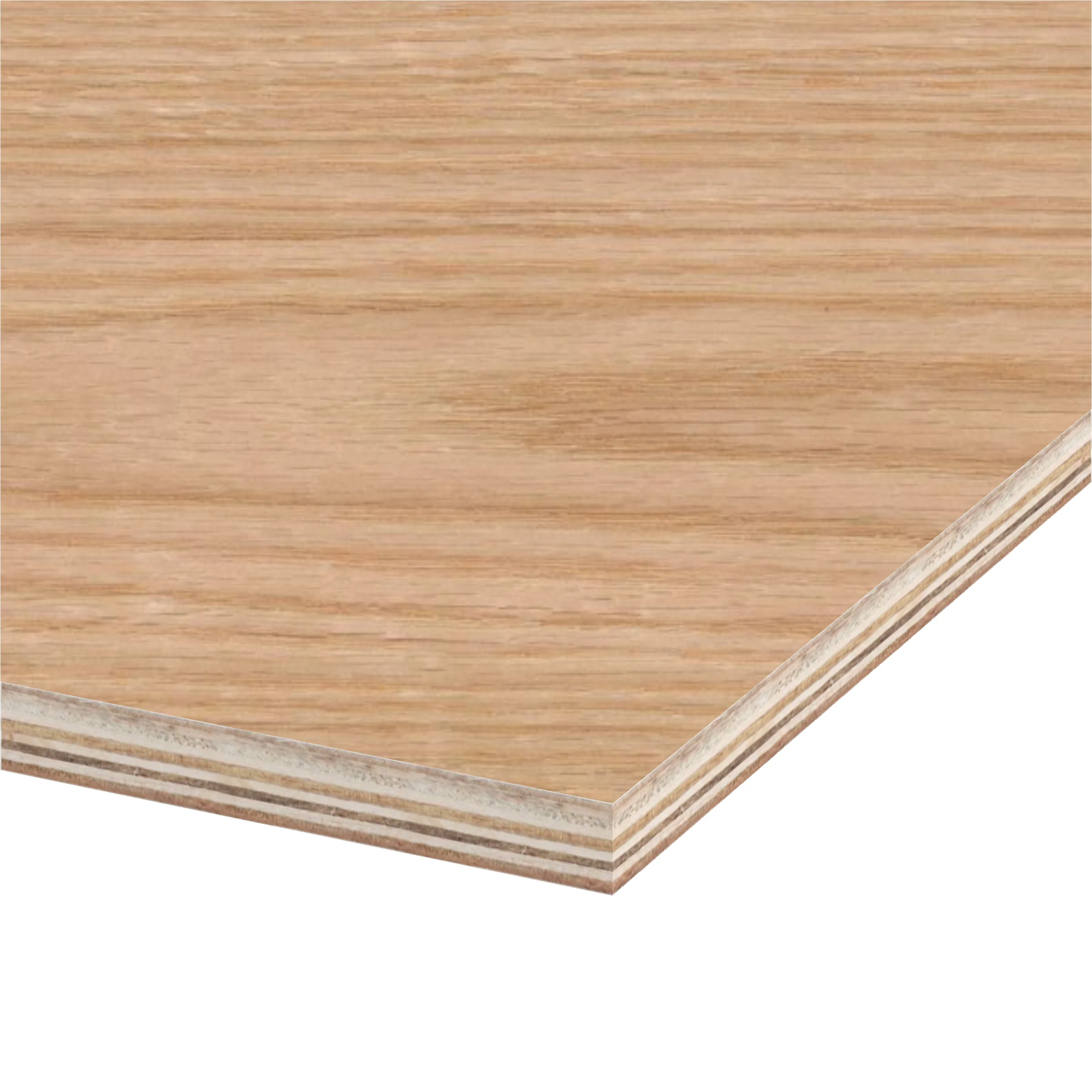 Red Oak Plywood 4 ft x 8 ft (Imported Plywood) - Image 2