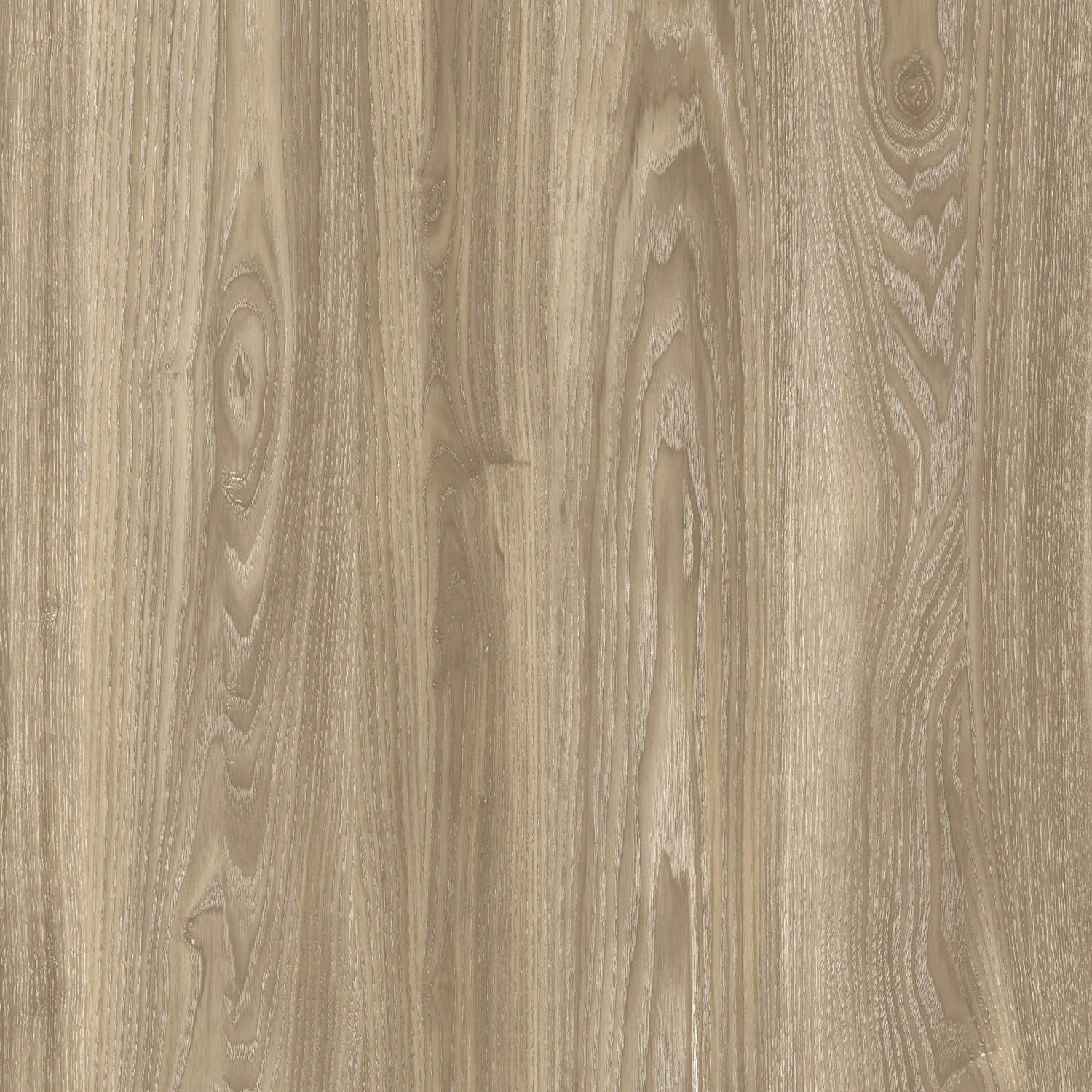 T-MOULDING GIORGIA BOSTON 8" - Image 3
